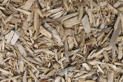 biomass boilers Rowstock